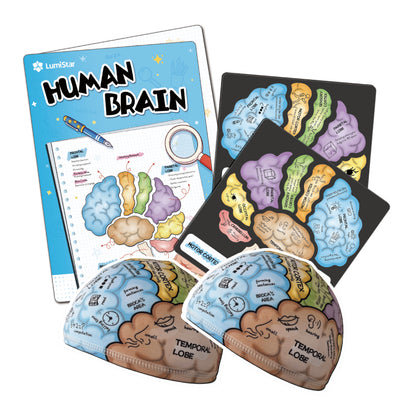 Brain Hat + Brain Magnets + Game Book Set