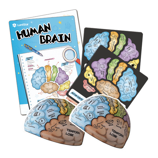 Brain Hat + Brain Magnets + Game Book Set