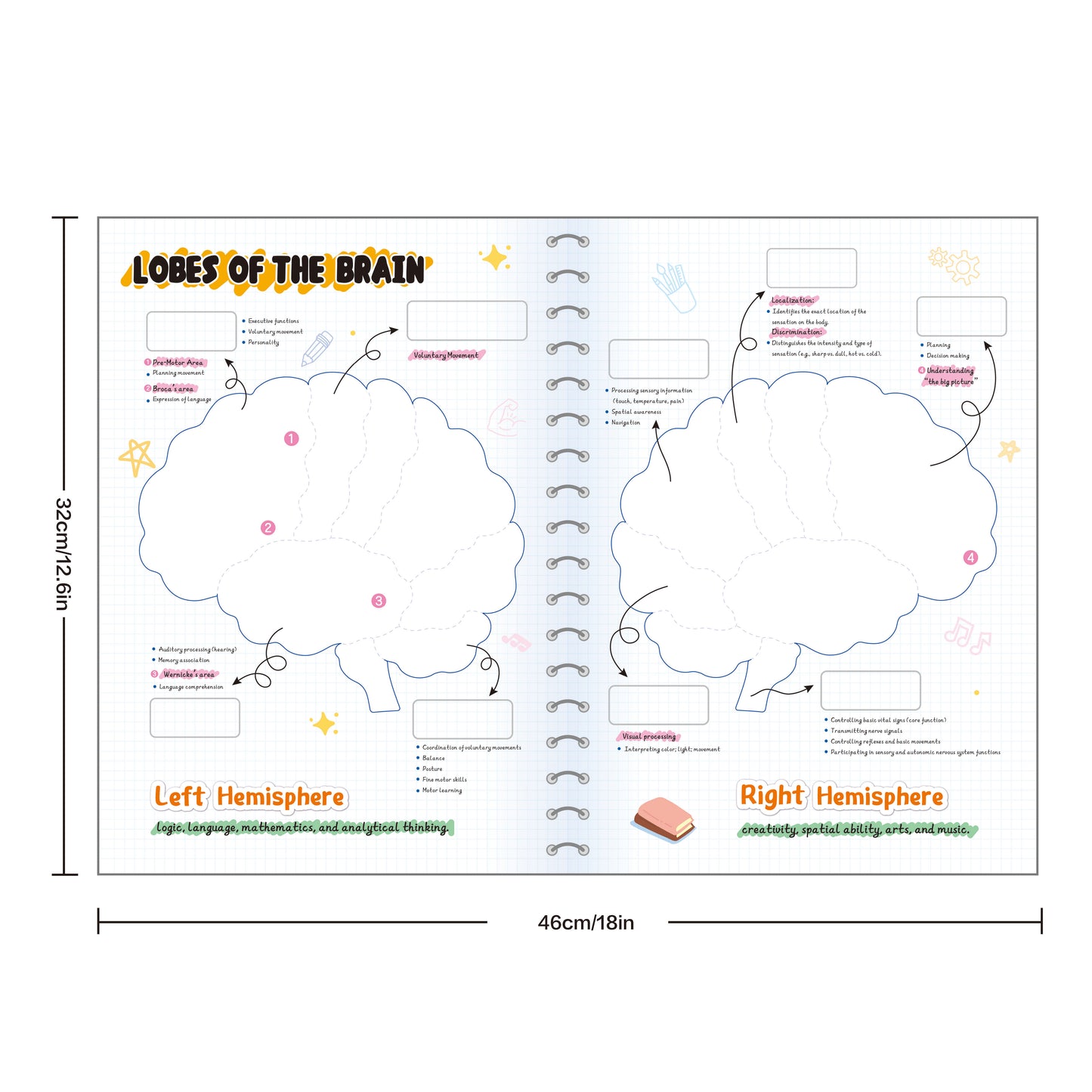 Brain Hat + Brain Magnets + Game Book Set