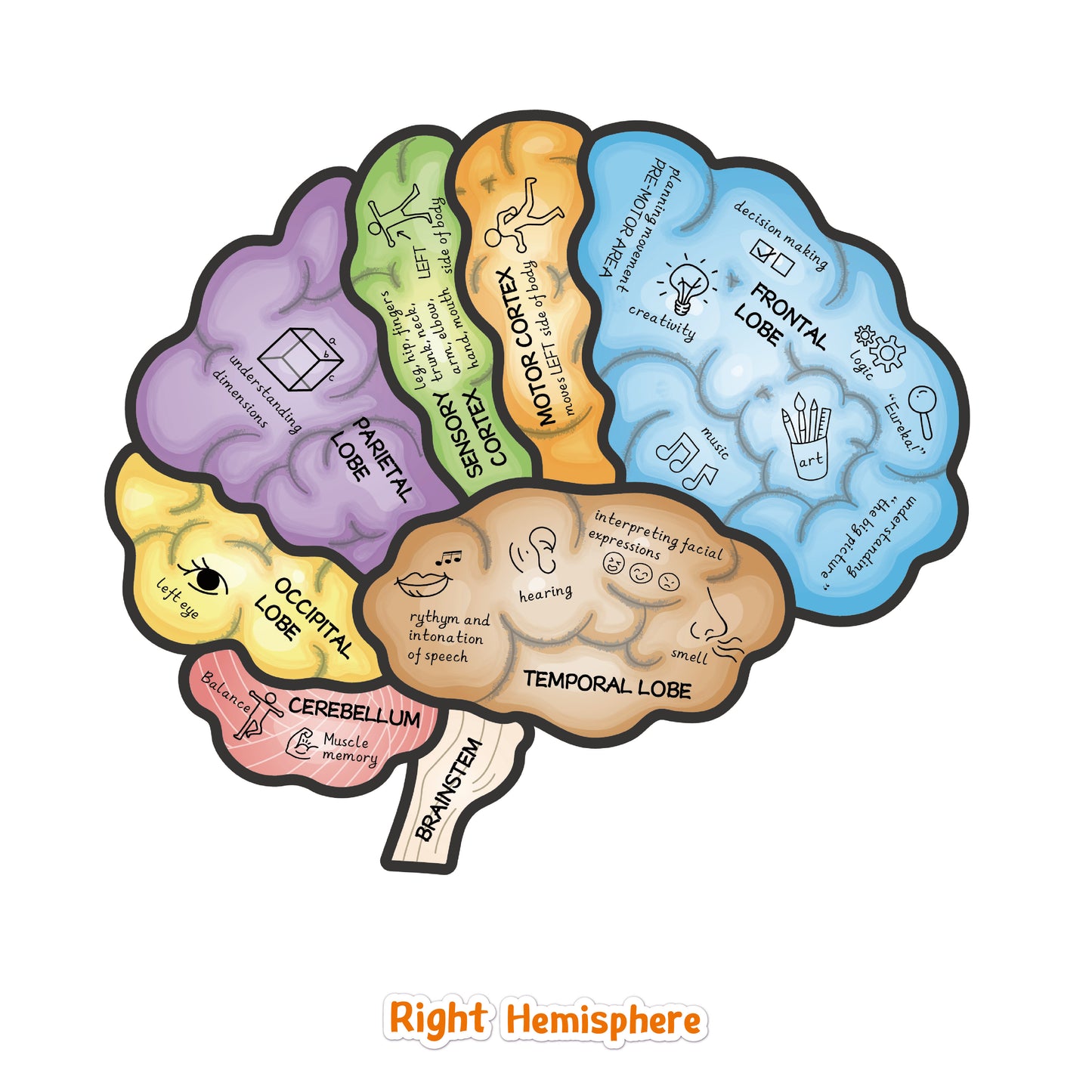 Brain Hat + Brain Magnets + Game Book Set