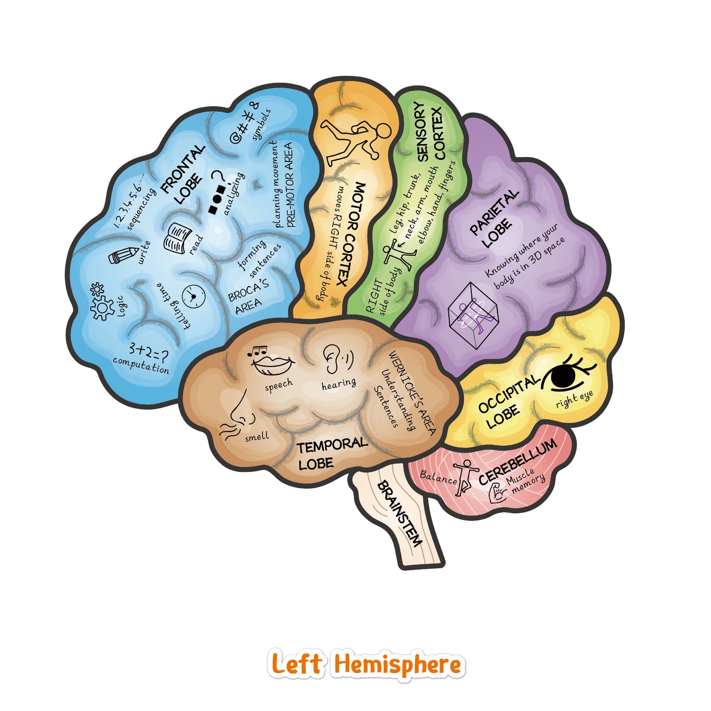 Brain Hat + Brain Magnets + Game Book Set
